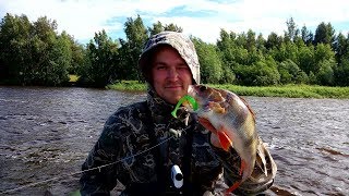 Ловля окуня на джиг//Рыбалка 20 июня 2017// Шомиково/Чебоксарское водохранилище.