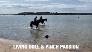 20/01/20 - Living Doll (closest) & Pinch Passion