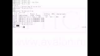 Архитектура UNIX - Атрибуты файлов