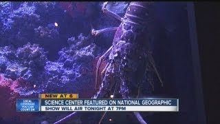 South Florida Science Center featured on Fish Tank Kings
