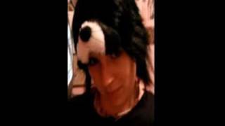 DIY Skunk Costume