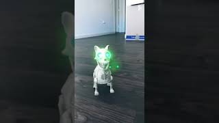 Robot ? Cat #Robots #Toy