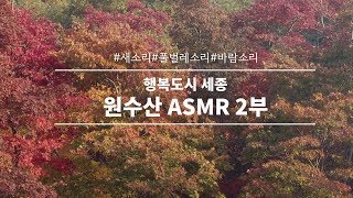 [20분 ASMR] 원수산 ASMR ?? 바람에 흔들리는 단풍부터 노을까지!