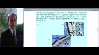 Михаил Краснов  О Виофтанах  Ассортимент продукции флуревитов
