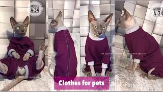 Одежда для кота, одежда для сфинксов, pet clothes, комбинезон для кота