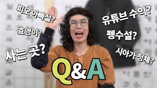 [신곡공개] 카피추의 Q&A!! 펭수설? 유튜브 수익은 얼마? 피오?