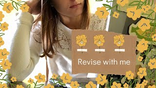 Revising is HARD | Writing Vlog | Developing a Revision Plan