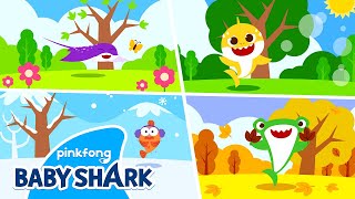 Four Season Song | Spring, Summer, Fall and Winter | Word Song for Kids 