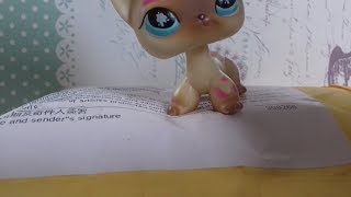 O.M.G. balíček z ebay!! Vzácní lps!!