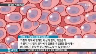 사람 몸에 들어가 암 퍼뜨리는 기생충…첫 발견 / SBS