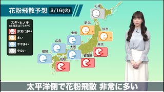 あす3月16日(火)の花粉飛散予想