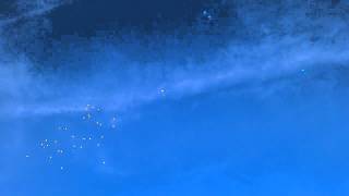 Izmail, Ukraine. September, 1 - 2014 Измаил. школа 16 - Первый звонок