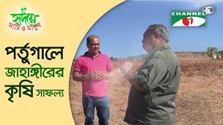 পর্তুগালে জাহাঙ্গীরের কৃষি সাফল্য| Channel i | Shykh Seraj |