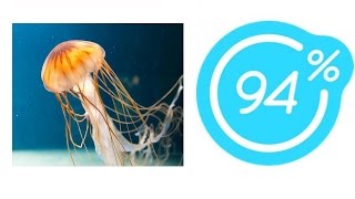 Игра 94% Картинка Медуза | Ответы на 12 уровень игры.