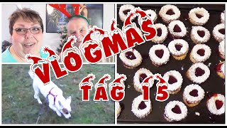 ?? Vlogmas Tag 15 | Adventskalender | Plätzchen backen | Gassirunde | #kirauwesusi ??