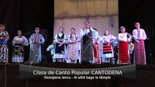 Georgiana Iancu - Ai albit bage la tâmple