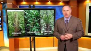 Weed Resistance Midwest