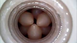 Fleshlight Bliss internal cam