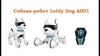 Интерактивная собака робот Leidy Dog A001