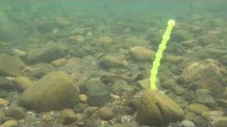 ジークラック新作ワーム水中動画