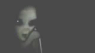 【衝撃映像】ブラジルで捕獲されたグレイタイプの宇宙人の尋問映像
