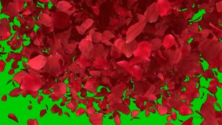 Green screen rose fx effect HD with sound. Green screen rose petals.