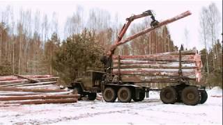 ЗАКАЗАТЬ ЗИМНИЙ лес  ОТ ПРОИЗВОДИТЕЛЯ дома из КЛЕЕНОГО БРУСА