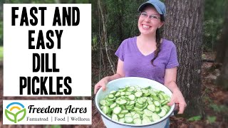 Fast and Easy Pickle Cheat