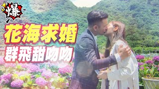 《多情大爆爆》多情城市 EP183 花海求婚 群飛甜吻吻