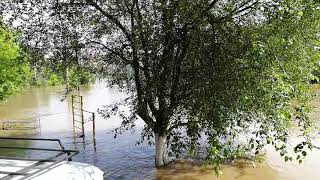 Наводнение Нижнеудинск 28.06.2019 10-00