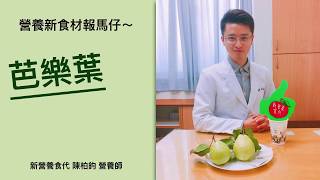 營養師大哉問－芭樂葉