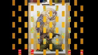 Рисуем сову акварелью, поэтапно.