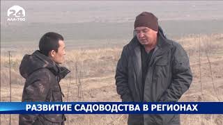 Развитие садоводства в регионах