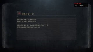 blood borne　何で私だけ貧者なの物語　続き♪