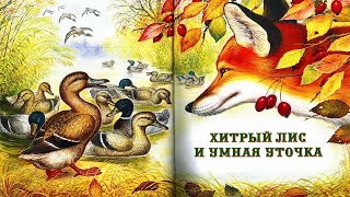 ХИТРЫЙ ЛИС И УМНАЯ УТОЧКА .В.Бианки аудио сказка: Аудиосказки-Сказки на ночь.Слушать сказки онлайн