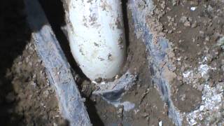 Septic Field Failure after only 6 years