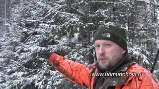 Охота на лося загоном в Удмуртии Elchjagd Russland elk hunt Russia