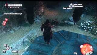 ASSASSIN'S CREED REVELATION - ARROW STORM