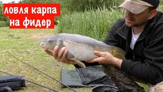 Супер Рыбалка!!!!!  Ловля карпа на Фидер! Поклёвки крупным планом
