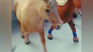 Обзор schleich