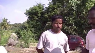 indigo farming India