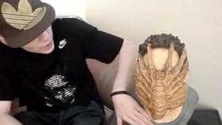 Palisades 1:1 Facehugger On Kane Original ALIEN bust review!