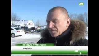 Пистолет против собаки