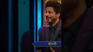 Shaharukh Khan and Anushka Sharma Comedy status Comedy #short #reels #bollywood