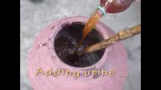 Panchagavya   Basic Method
