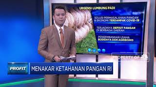 Menakar Ketahanan Pangan RI