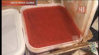 Контрабанда красной икры, задержали 700 кг / Новости