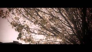 SCC - Tres Amigos (Official Video)