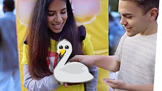 FÜR 200€ SCHWAN ANFASSEN (Live Street Experiment)