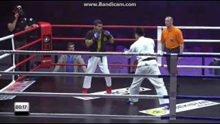 Puri Elsever-Alpaqut Time.Champion of BALTIC 2017